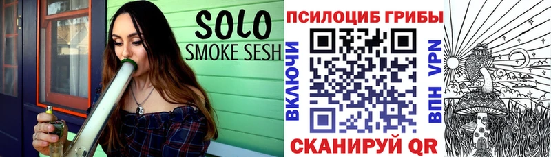 Купить где  Задонск  Псилоцибиновые грибы Psilocybe 